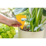 Gelbsticker | 10 Stk. biohelp Garten & Bienen Der Botaniker