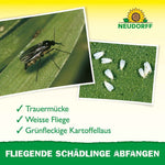 Gelbsticker | 10 Stk. biohelp Garten & Bienen Der Botaniker