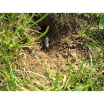 Nemastar biohelp GmbH Der Botaniker