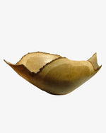 Eiche #9 - Der Botaniker