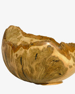 Esche #14 - Der Botaniker