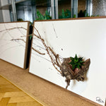 Go Far (2022) - Der Botaniker