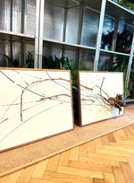 Go Far (2022) - Der Botaniker