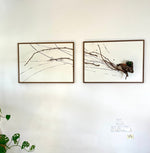 Go Far (2022) - Der Botaniker