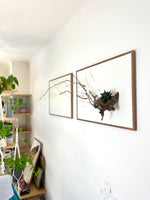 Go Far (2022) - Der Botaniker