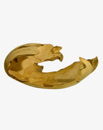 Haselnuss #2 - Der Botaniker