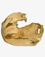 Haselnuss #2 - Der Botaniker