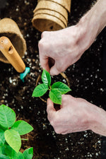 WUXAL® Universal Flüssigdünger - Der Botaniker
