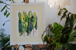 Philodendron Billietiae Variegated - botanische Illustration - Der Botaniker